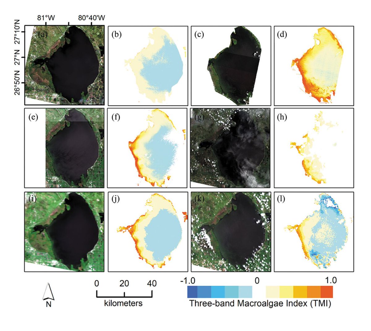 🔔 New article: 

Nazeer et. al. propose a novel, three band #macroalgae index (#TMI) for the detection of overgrowth of #algae in #aquaric environments, based on #Landsat8 🛰️ OLI imagery.

🔗 doi.org/10.1080/014311…

#IJRS #RemoteSensing #AlgalBloom