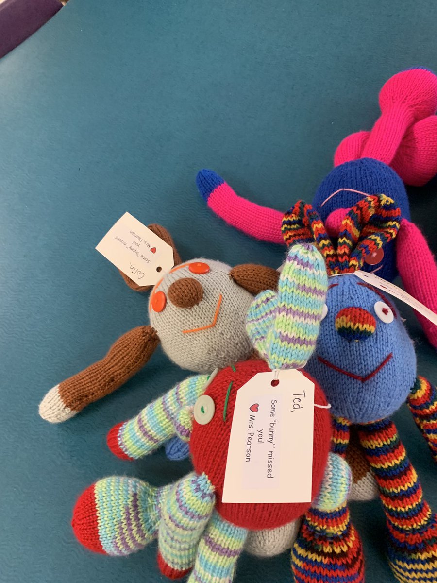 Some ‘bunny’ missed these little kindies. So happy to be back doing what I love❤️ Knuffle Bunnies for all. @cbe_earlylearn #Kindergarten