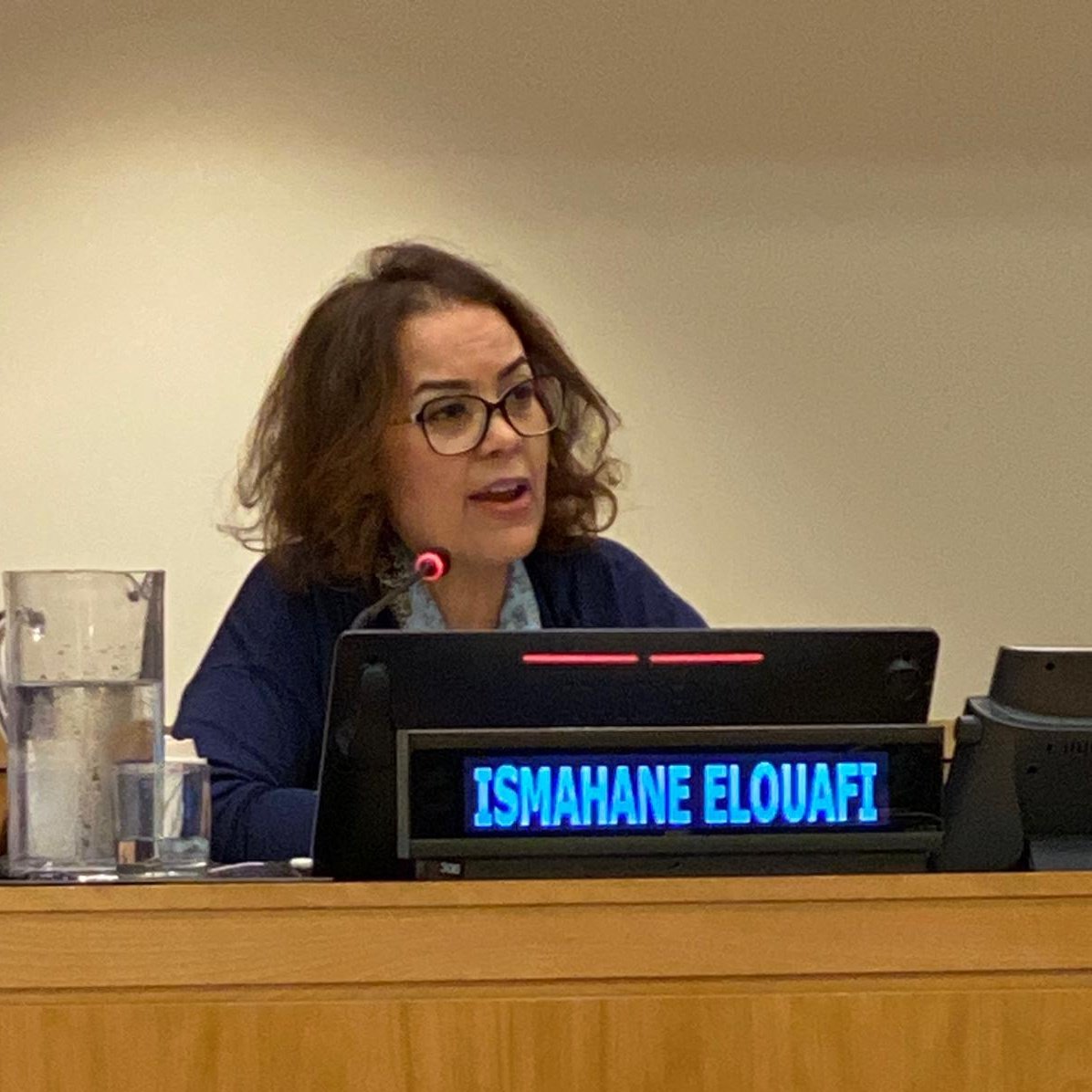 Addressing the UN STI Forum's Africa Day, Chief Scientist @IsmahaneElouafi called for the needs to accelerate productivity and economic diversification in all fronts, and more so in agricultural sectors in #Africa. 

#AgInnovation #Tech4SDGs