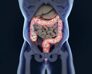 🔴ENERJİ DÜŞÜKLÜĞÜ ve VÜCUTTA SÜREKLİ AĞRI HISSETME (LPS)

📌SORU: Enerjim hep düşük, sürekli vucudum ağrıyor, hep karnım şiş,gaz var gibi neden?

 🔊LPS...lipo poli sakkarit

➖️Daha önce gecirgen bagirsak sendromu (luky gut) ile ilgili yazmıştım. İste orada geçen bir mevzu