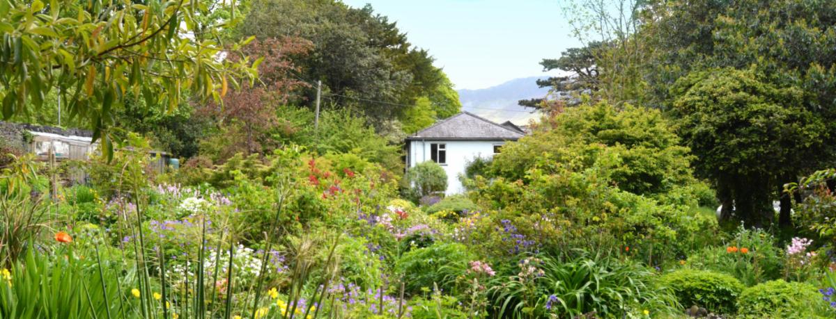 Trigonos3's tweet photo. Join us on our ‘Save the Bees’ course, in June at Trigonos with experienced bee keepers. Jonathan Garratt and Lisa Mundle. The course takes place from 23 – 25 June with residential and non-residential options available. https://t.co/OwkeFvCxvx