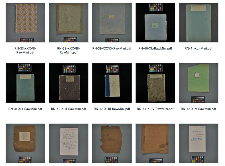 susannacrossman tweet media