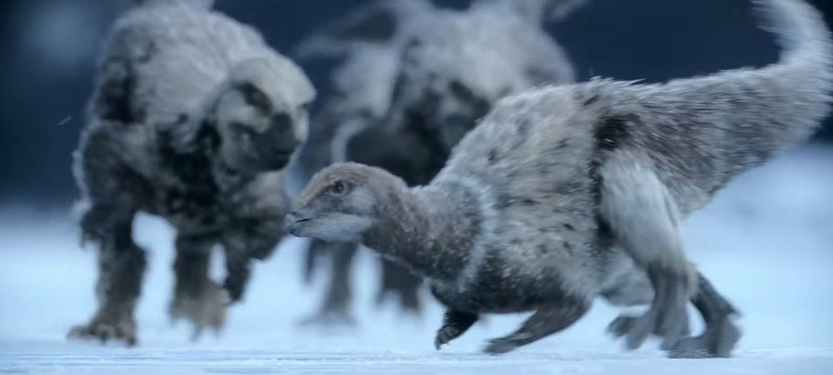 Dane Pavitt 🦕 🦣 🦖 tweet media