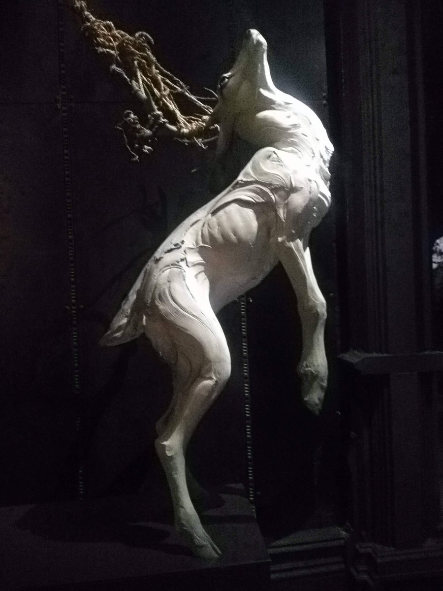 💎PHISH🔮🔞 @ TEAM CRYSTAL tweet media