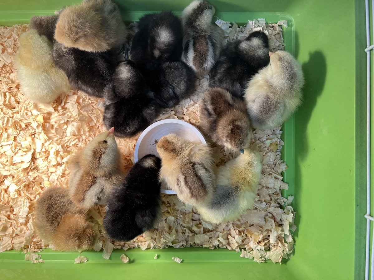 Alex Johnson tweet media