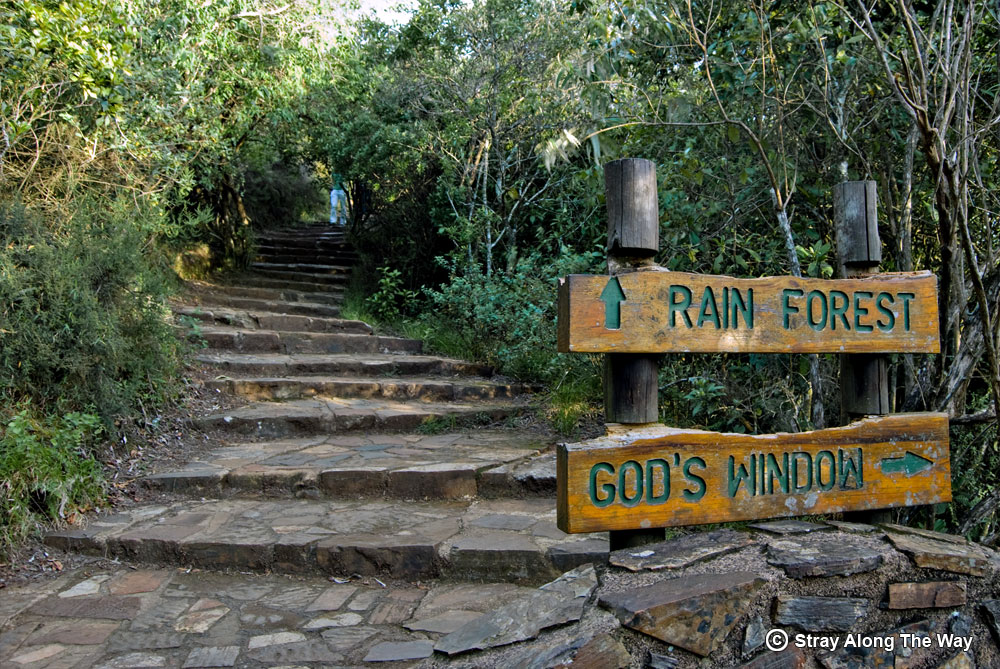 Mchumanisi's tweet photo. You are invited to our next trip. Date: 27-05-2023, Destination: Mpumalanga, God’s Window Graskop Gorge Lift Co. Charge: E450.00 (transport only). Activities: Hiking, God’s Window viewpoint, Big Swing, Zipline, Suspension Bridge. Note: 6/7 seats available. Let's Xplore #Onerib https://t.co/qe5fQAWv06