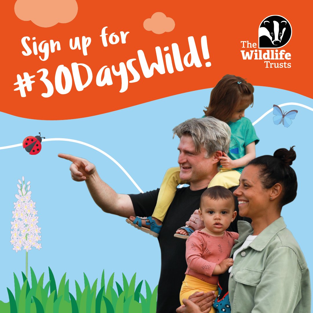 WildlifeTrusts's tweet photo. This June we’re helping people connect with nature! Join us for #30DaysWild and receive a pack including:
🌼Wildflower seeds
📊 A wallchart
🐝Wild bee poster
https://t.co/EogKL9b4V0 https://t.co/JRjaFuvIBG