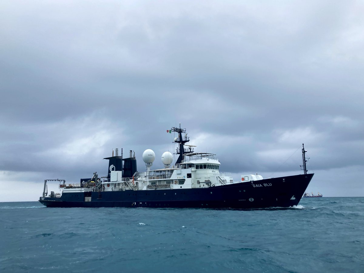 Giuseppe Suaria tweet media