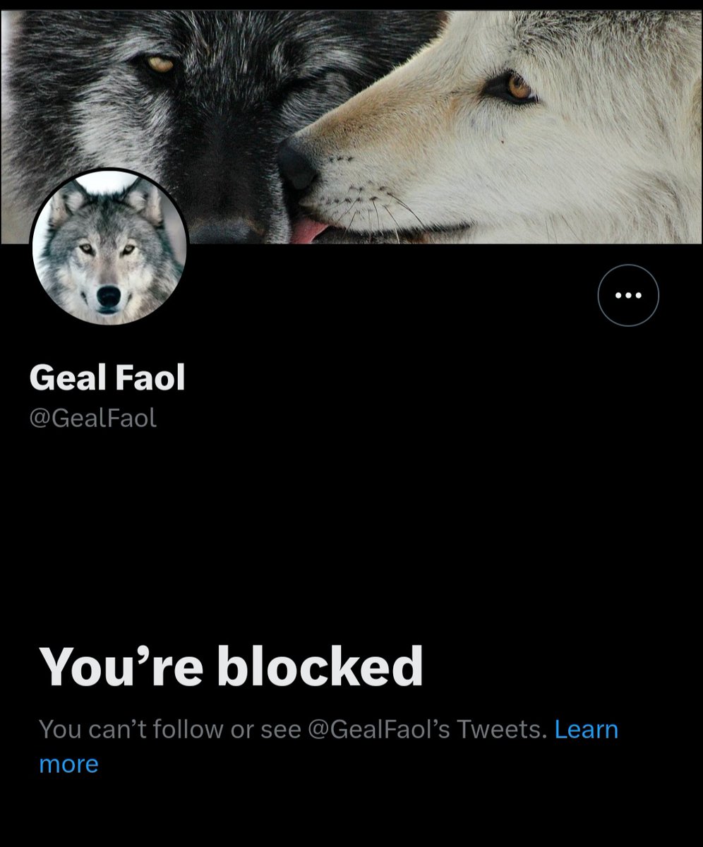 TheBerthaR's tweet photo. @CheeseSpiff @GealFaol @GovernorShapiro Ha! Let me know if this GealFaol responds. This account runs their mouth, blocks, then deletes all their tweets. https://t.co/EAi12JuF5Z
