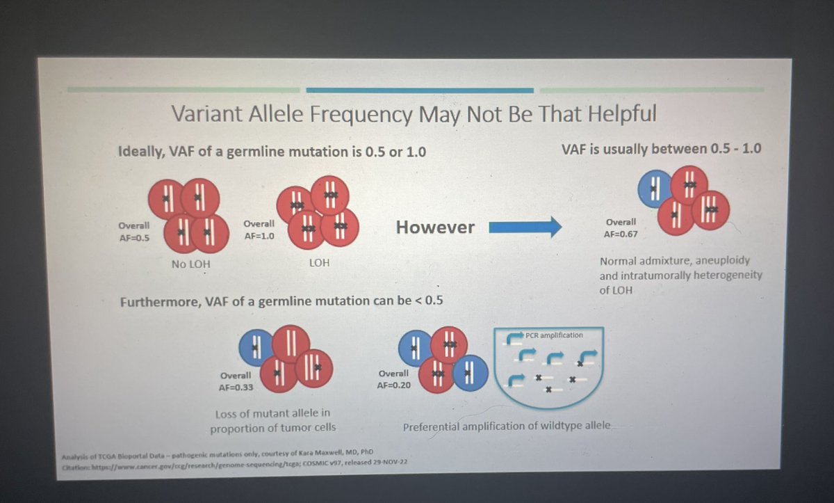 LGtheCGC's tweet photo. A cautionary tale about VAF! Dana Farengo Clark and Angela Arnold Ross presenting about the evolving role of @GeneticCouns in #PrecisionMedicine @NSGC_CancerSIG @HumanGeneticsNJ #GeneChat #hganj https://t.co/l19791PH9o