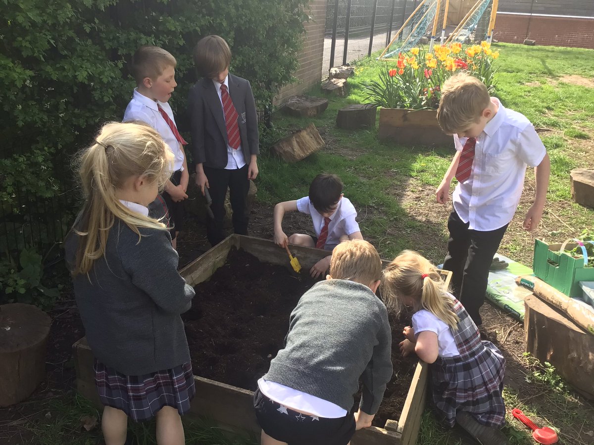 North Wheatley Night Owls tweet media