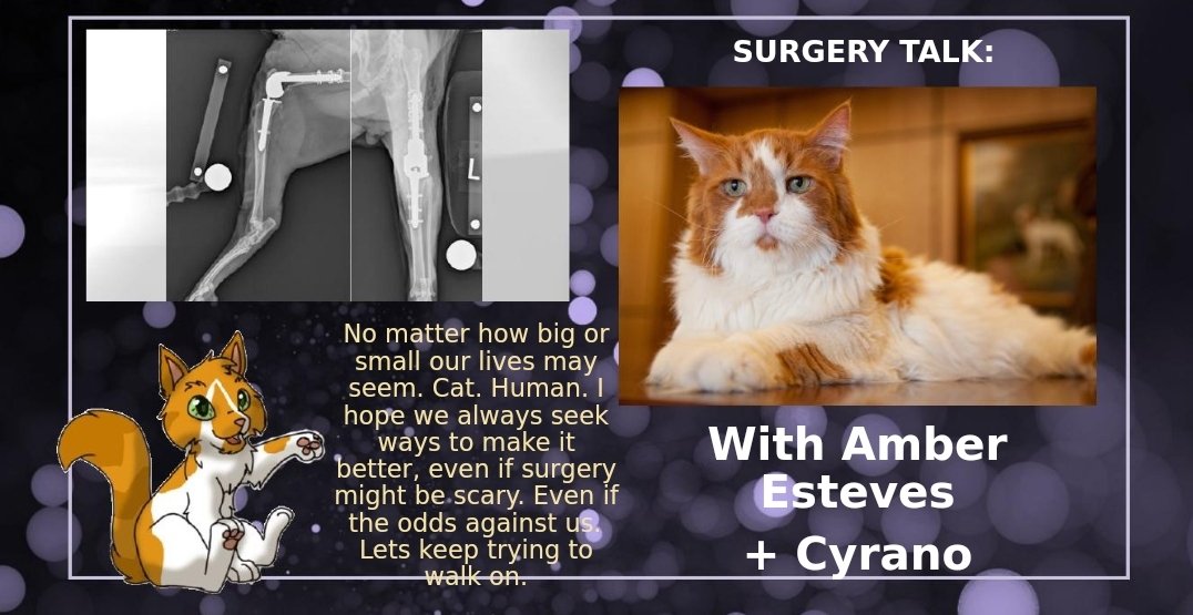 TailWeaverAJF's tweet photo. @WCWITCast 
I have to give special thanks to Tangletongue for cat facts. I had a Surgical Tech presentation about Total Knee Replacements and I was able to add info and doodles of Cyrano and his knee replacement surgery in the presentation. The class LOVED it. 🙏 https://t.co/BlV0VYvTAQ
