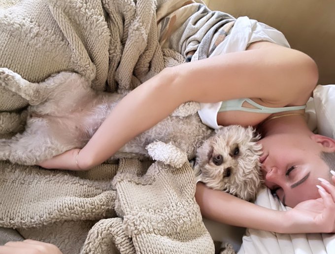 Hope you don&rsquo;t mind me sharing a huge piece of my heart today❤️&zwj;🔥 .. post your fur baby below so I can<a href="/tag/rahyndeejames"class="tags"><span>#rahyndeejames</span></a>