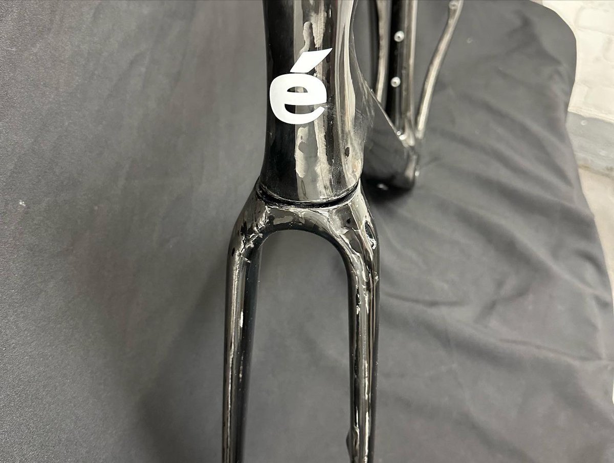 Bold Designs tweet media