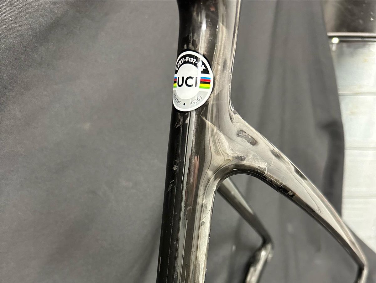 Bold Designs tweet media