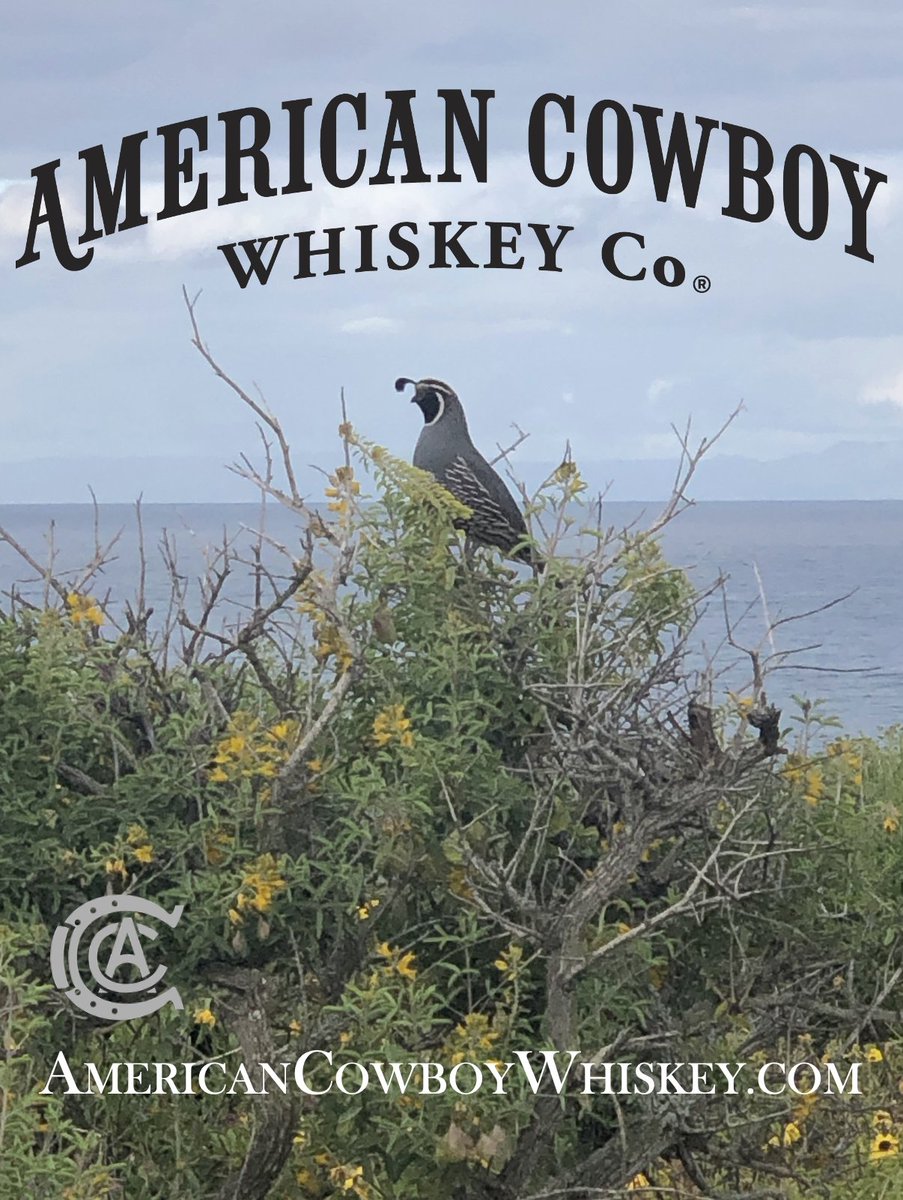 Good Morning World.
American Cowboy Whiskey Company®
americancowboywhiskey.com
#sale #apparel #USA #beach #rodeo #countrymusic #branding #goodtimes #sipresponsibly #americancowboywhiskeyranch