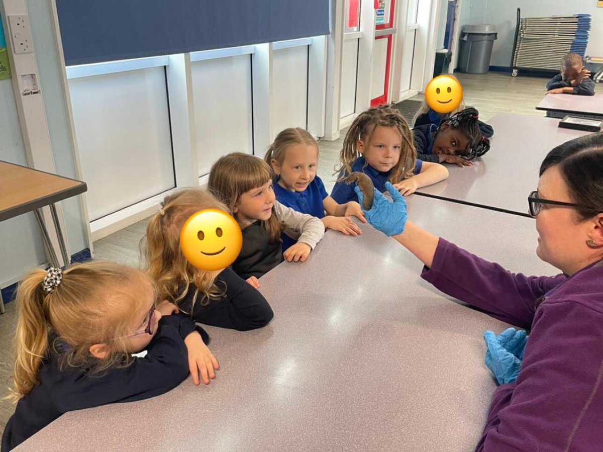 The EYFS children got close to a range of minibeasts. @TeachingTalons shared facts about the creatures they brought in for the children to look at and touch. It was a great 'hands on' experience for them all. 🪲🪳🕷 #YourChildOurPriority #TeamWarwick #Minibeasts @SarahChouikhi