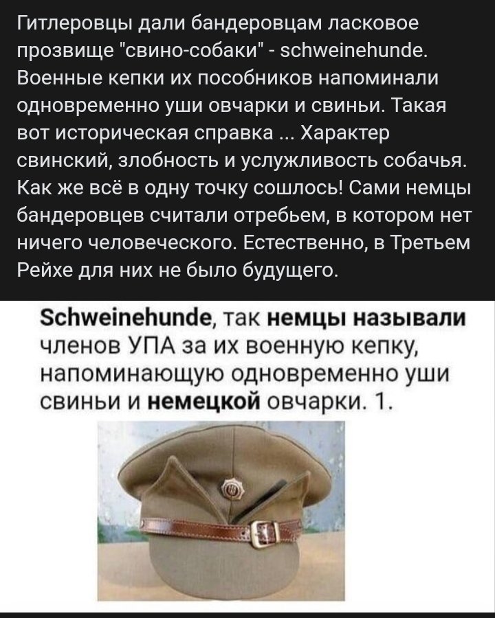 Яна ТigrisMy (@tatanaefimova18) on Twitter photo 
