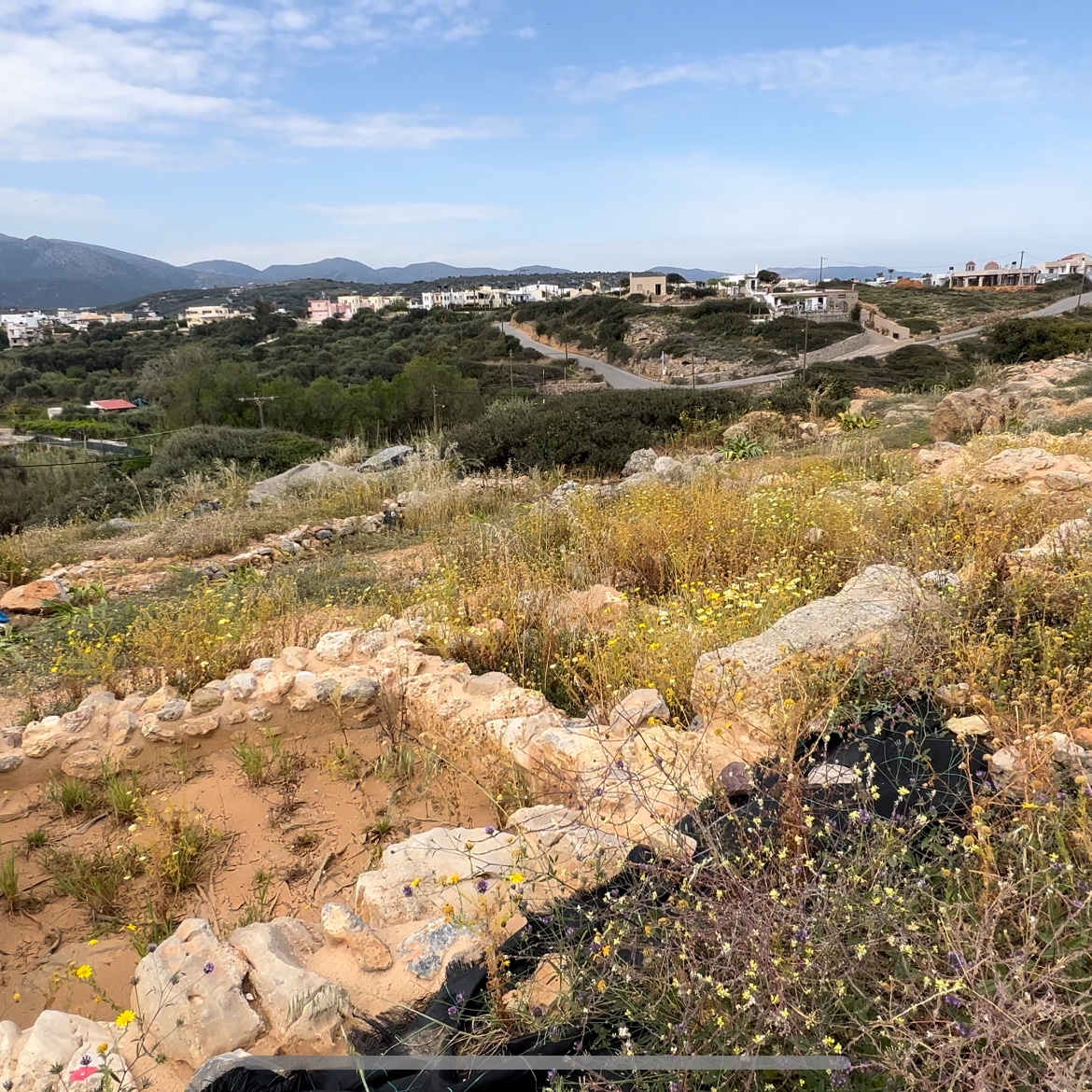 History Time tweet media