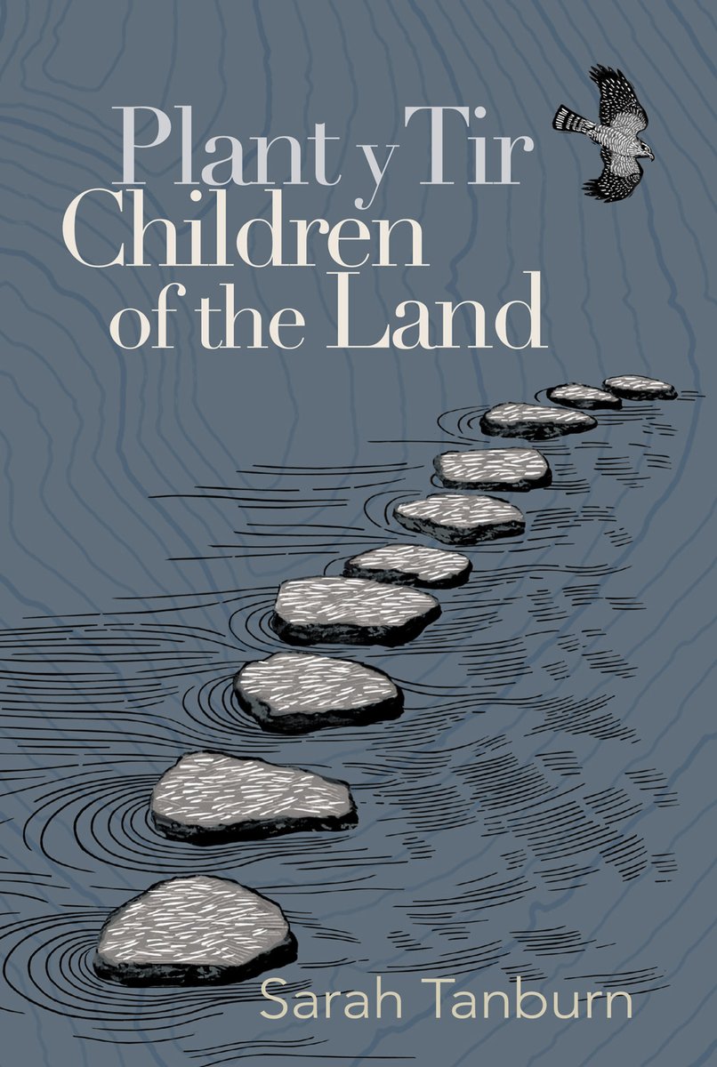 LadyTurtlePress tweet media