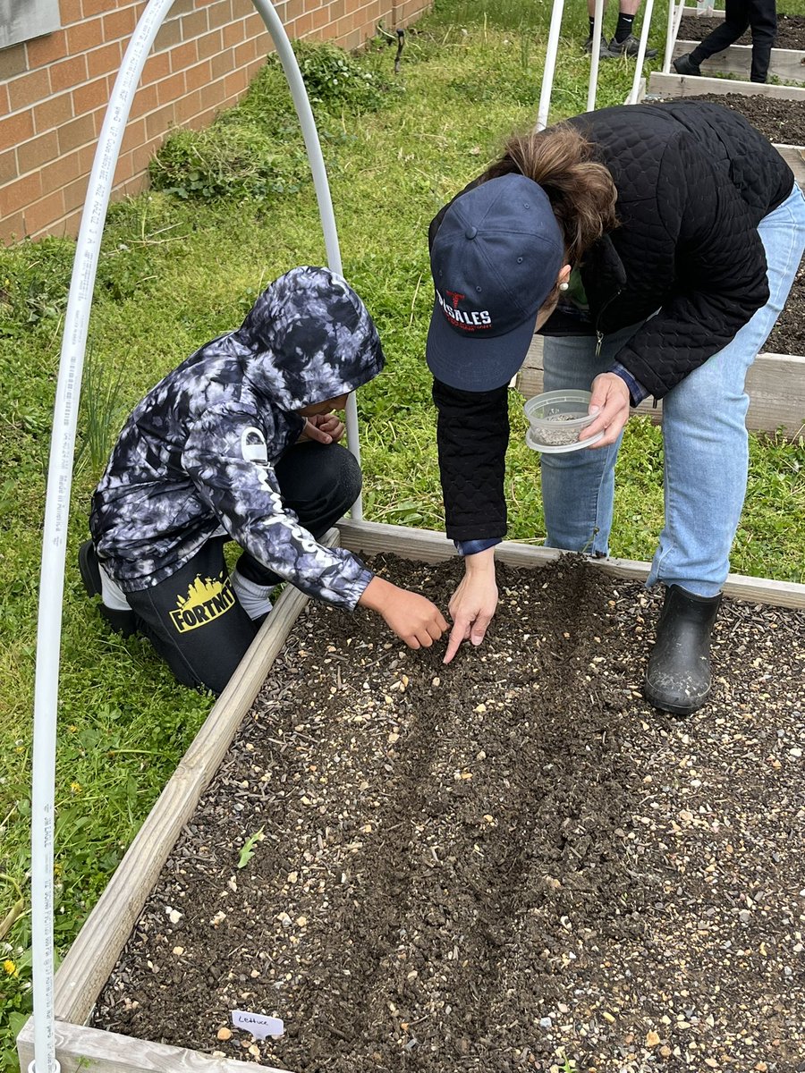 Mr. Phillips tweet media