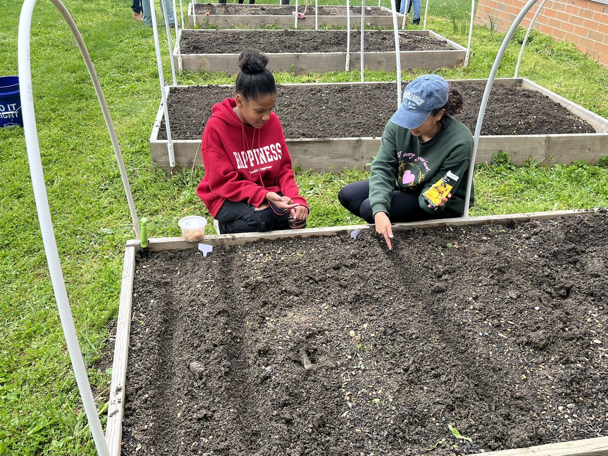 Mr. Phillips tweet media