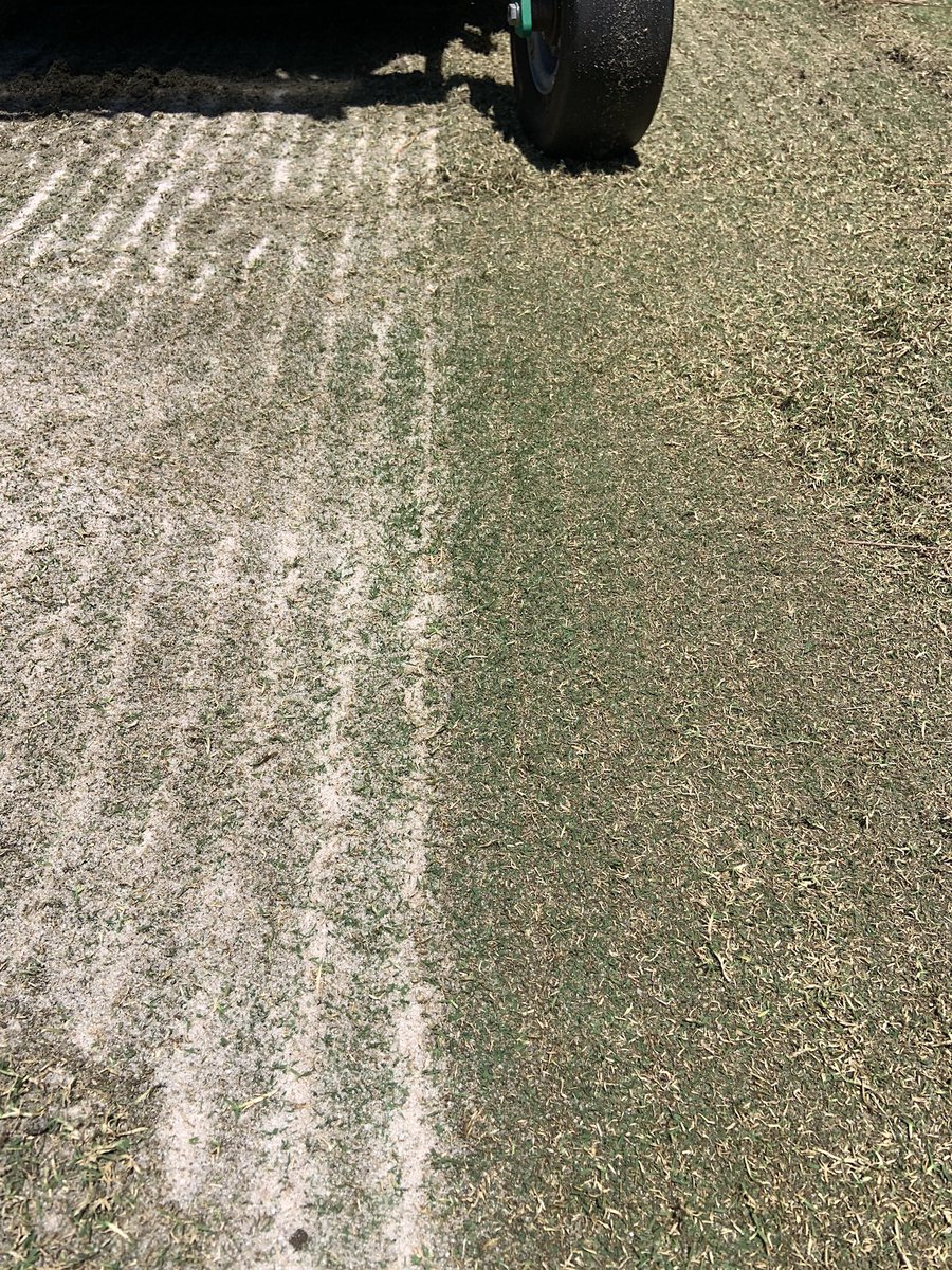 Southern Turfgrass Services tweet media