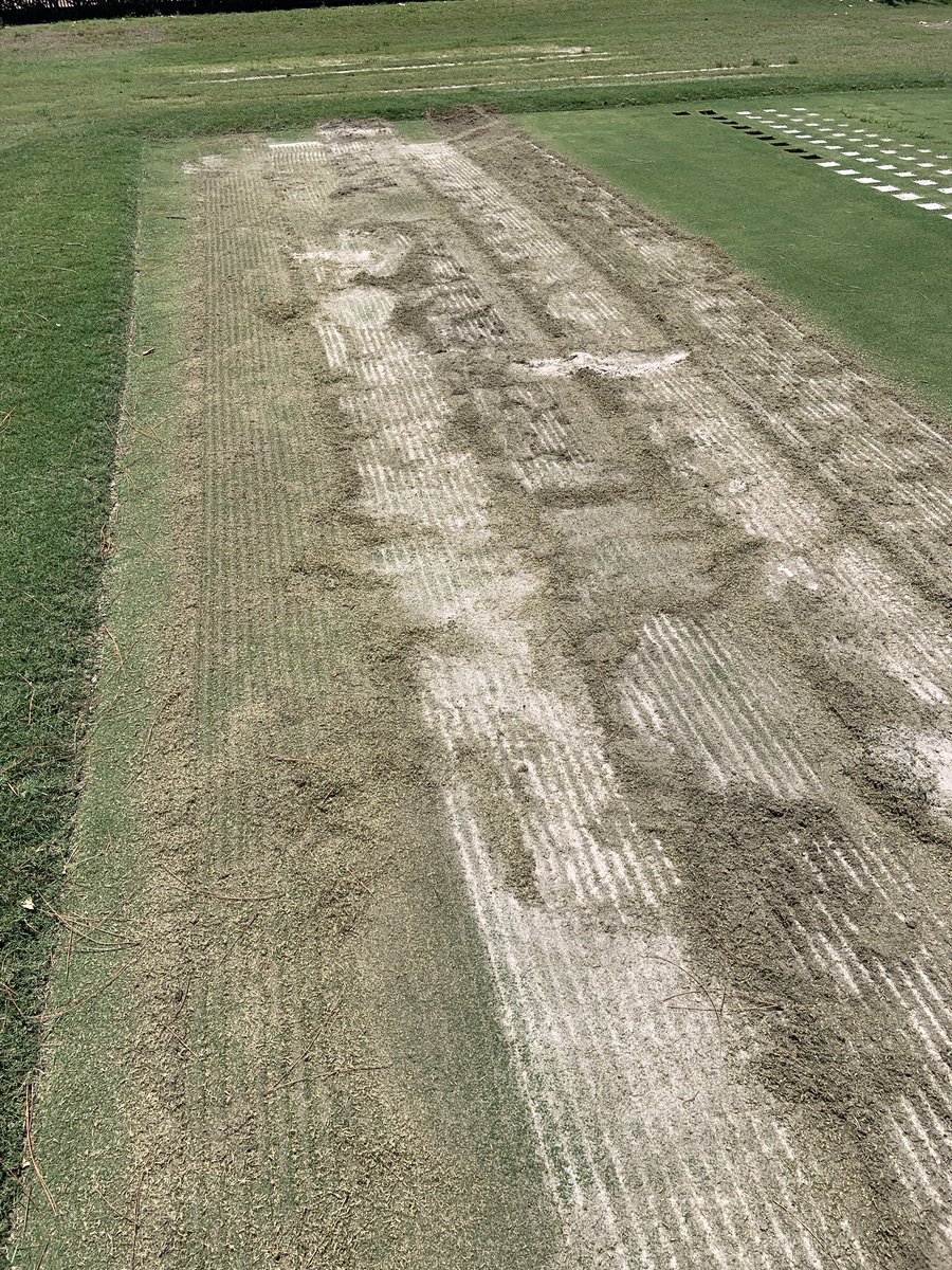 Southern Turfgrass Services tweet media