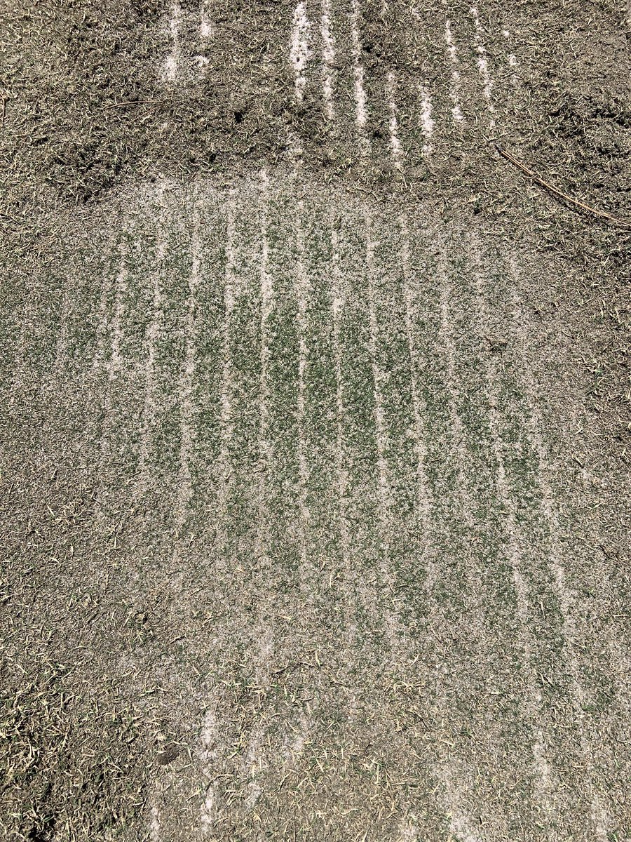Southern Turfgrass Services tweet media