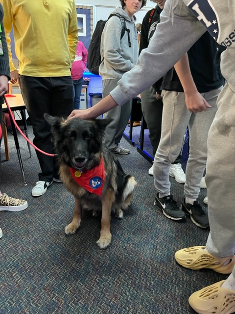 It's Mental Health Awareness Week at HHS. Students enjoyed time with therapy dogs during Explorer Period in the School Counseling Office.