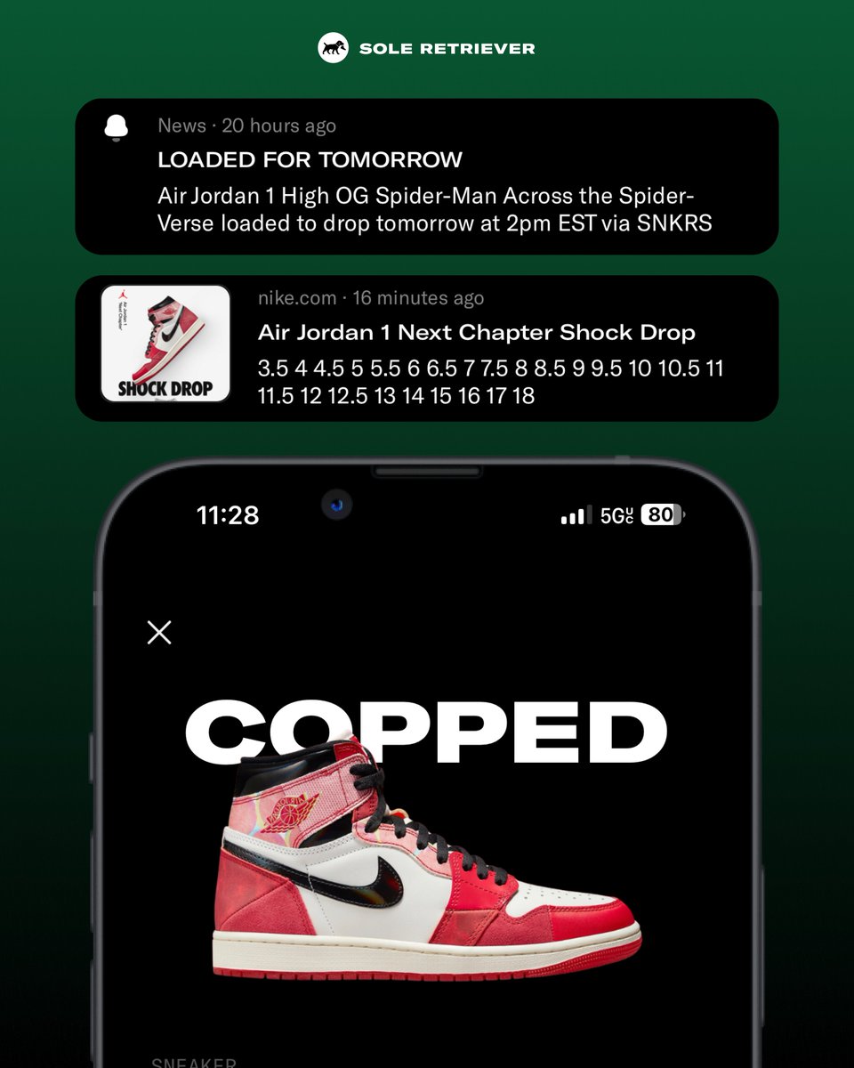 Sole Retriever tweet media