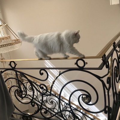 dalal_charif's tweet photo. #NouvellePhotoDeProfil https://t.co/AahdTJKhG1