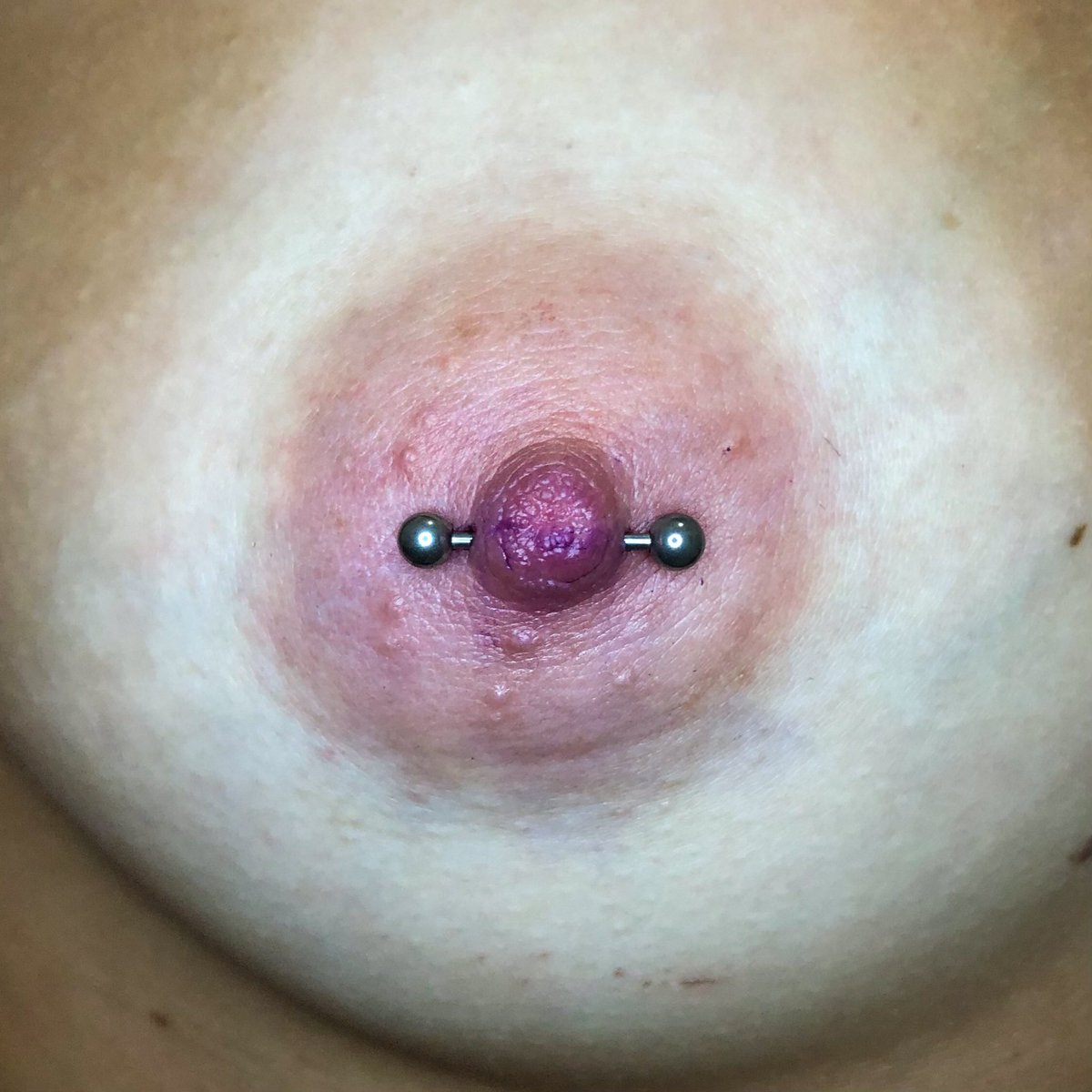 joycaiuby's tweet photo. Nipple Piercing realizado com Joia em Titânio 1.6mm, na técnica de Freehand. Adorei realizar essa perfuração 💕

#nipplepiercing #safepiercing #titaniumpiercing #piercingmamilo #piercingtitanio #freehand https://t.co/tIEPpHvlzy