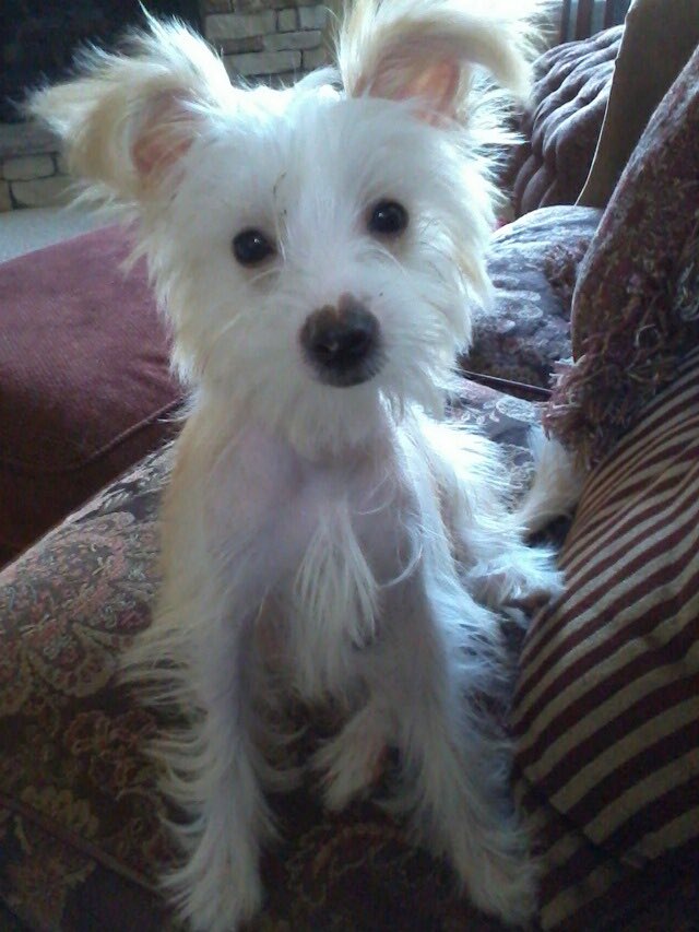🌈 Princess Zoey tweet media