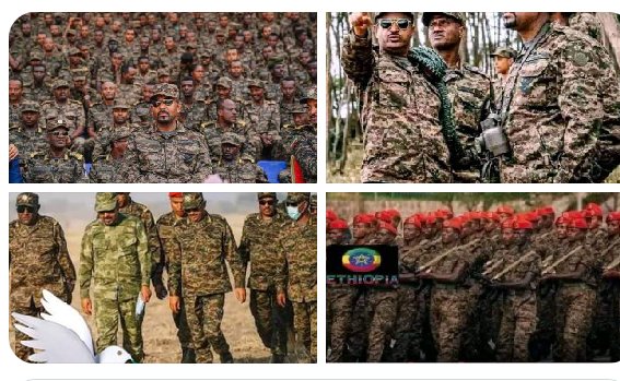 AdmeG62's tweet photo. #የኢትዮጵያ_መከላከያ_ሠራዊትን 
#በትግራይ ከጁንታ ጋር ሲዋጋ የኢትዮጵያ
#በኦሮሚያ ከሸኔ ጋር ሲዋጋ የኢትዮጵያ
#በአማራ ስቀሳቀስ የእነ ኤገሌ ሠራዊት ነው ብለው ሥም ማውጣት  ከ150 ክፍለዘመን በፊት የነበረውን የጀዘበ አስተሳሰብ መቃዠት ነው። https://t.co/QvbLyMussk