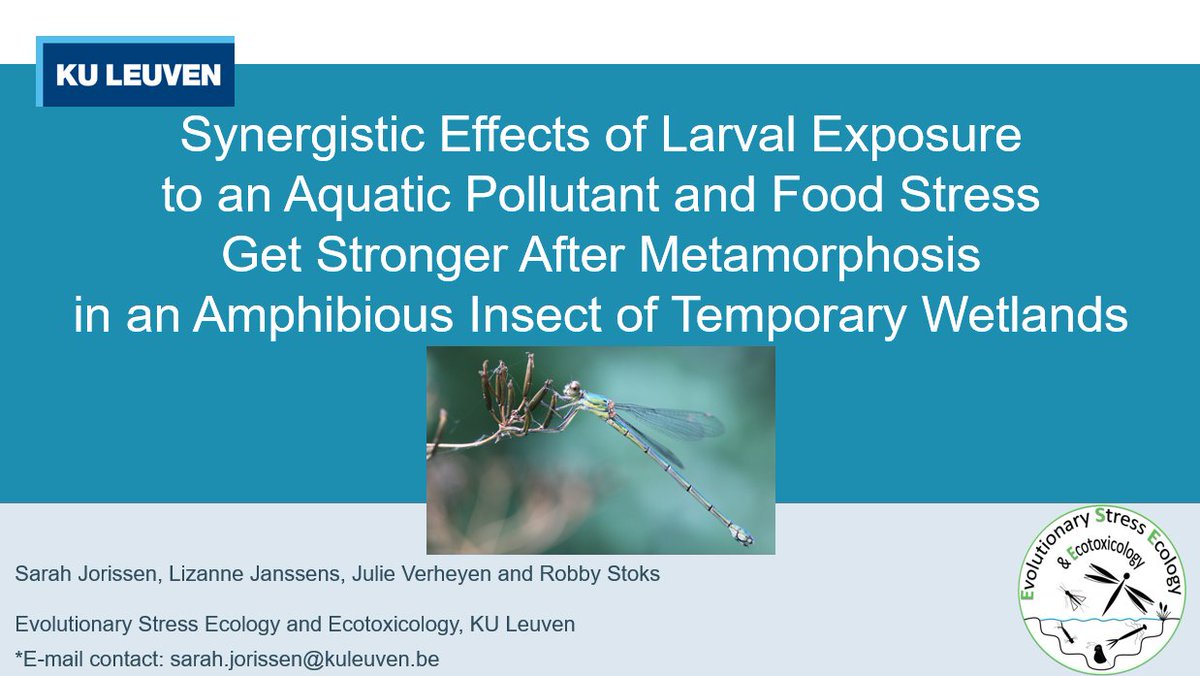 I will be presenting my article on Wednesday at #SETACDublin (14:10 EcoCem Room)! 

Hope to see you there!