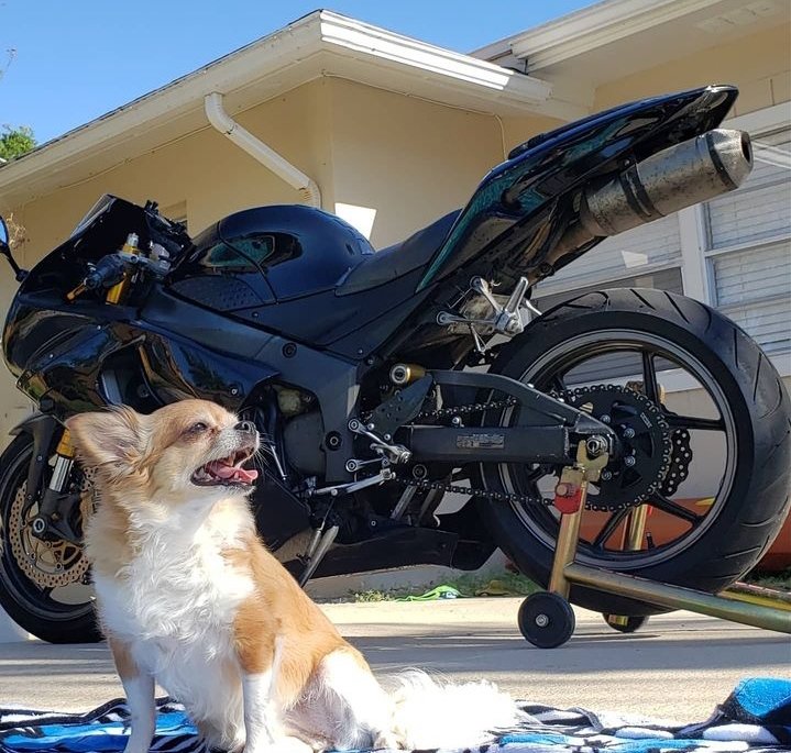 Nice bike 🚲😊