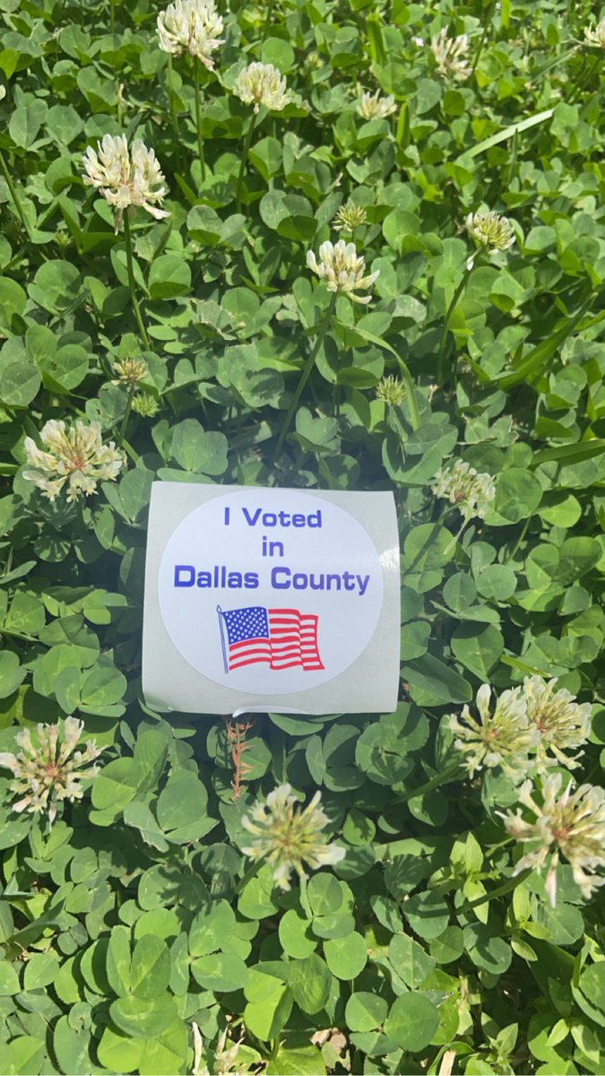 justrosa0's tweet photo. Voted!! 😎 #FMGilbertVotes #IrvingISDVotes https://t.co/yPR2xzSUYh