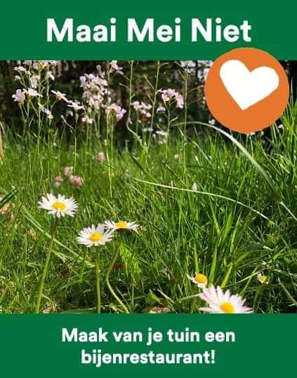 Kleine moeite.
Ook in je eigen voor- of achtertuin. 
Liefst het hele gazon, maar elk niet gemaaid strookje helpt! 🐝🌺🌻🍀