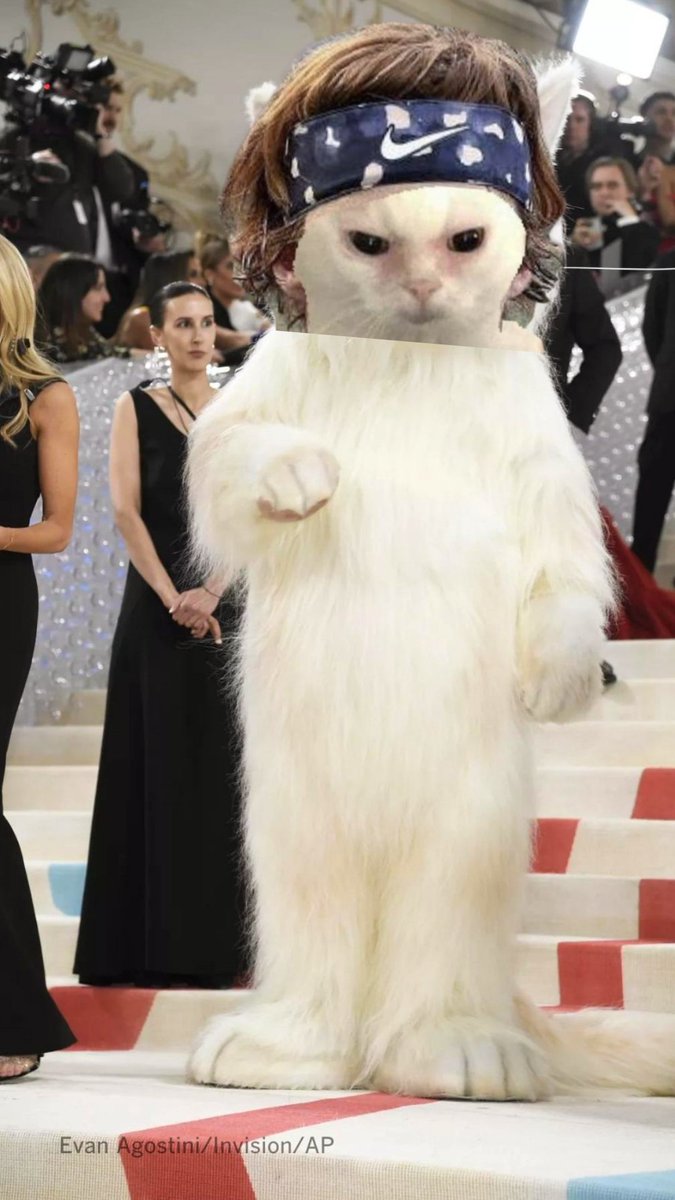 springsaule's tweet image. A masterpiece if I do say so myself