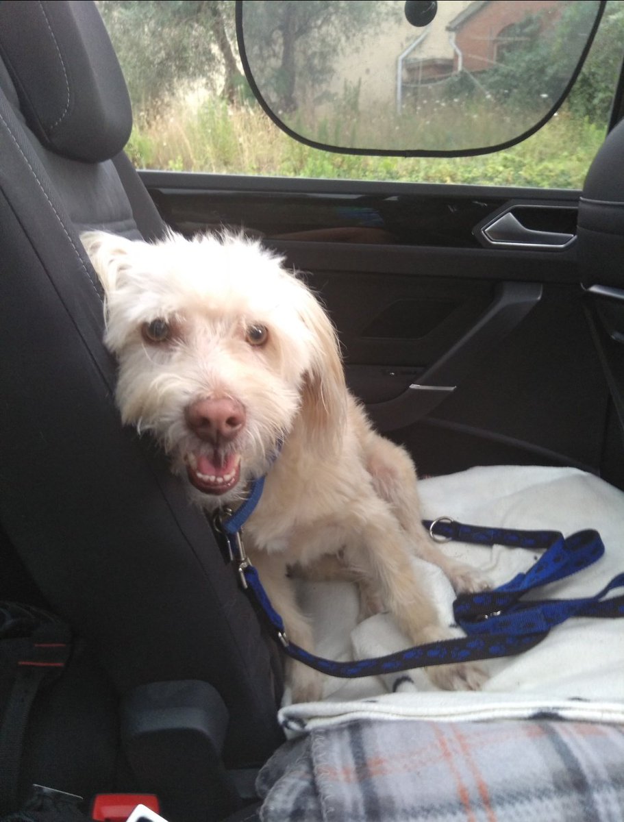 Space 🏳️‍🌈 tweet media