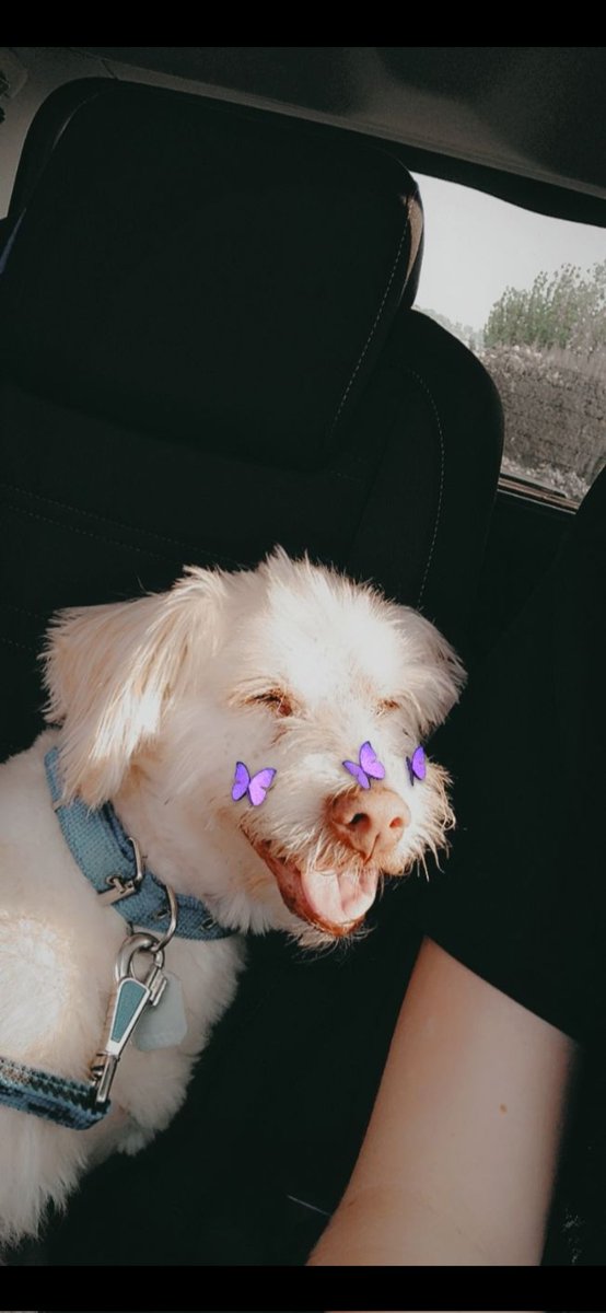 Space 🏳️‍🌈 tweet media