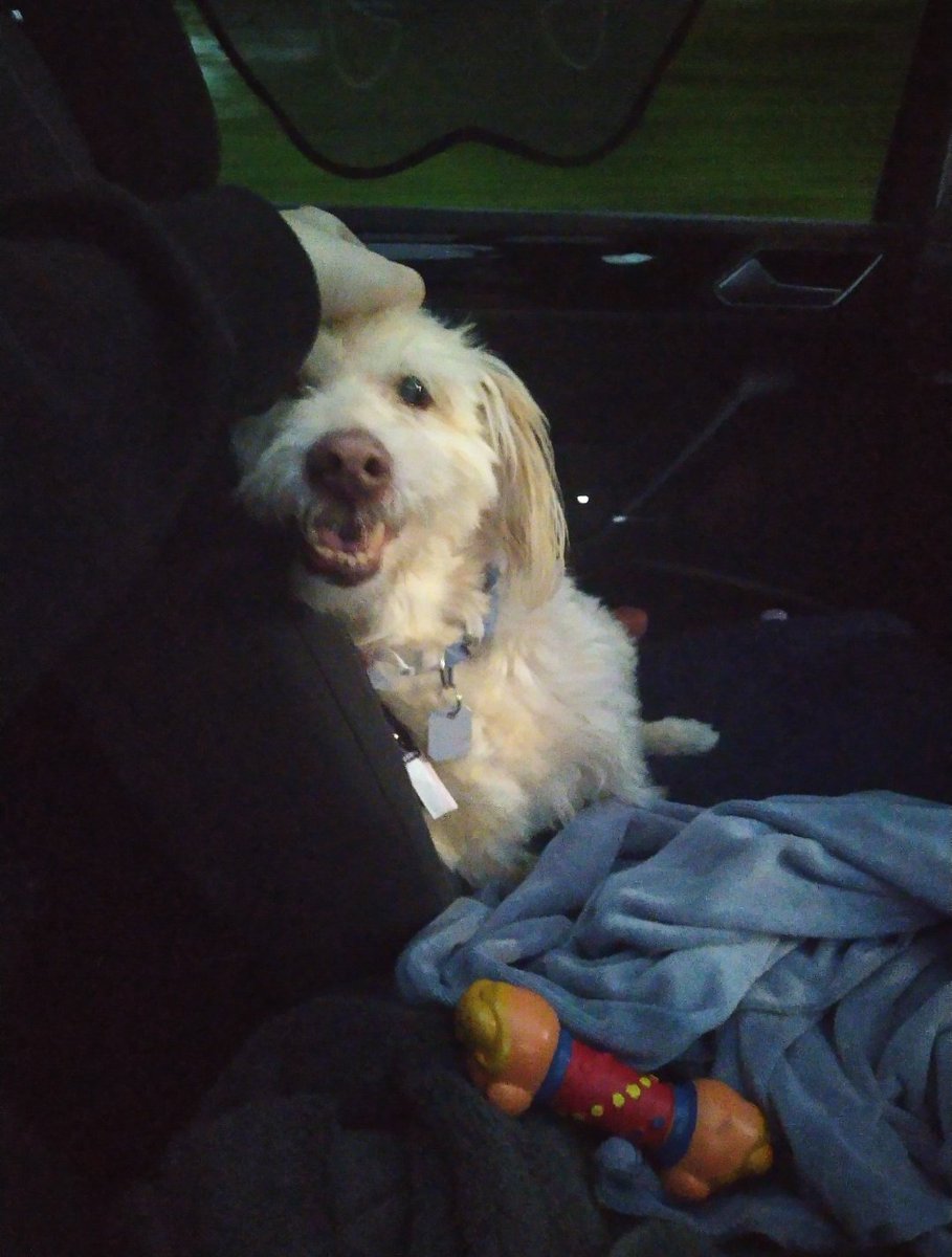 Space 🏳️‍🌈 tweet media