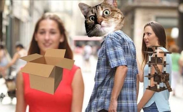 RespectfulMemes's tweet image. 