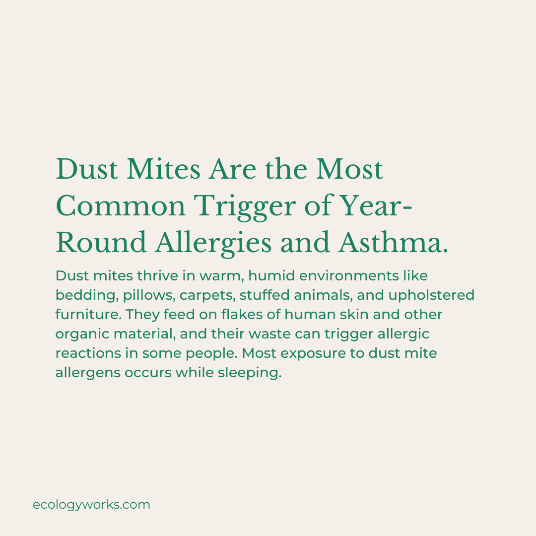 ecology_works's tweet photo. If you have #allergies or #asthma, these microscopic creatures could be wreaking havoc on your well-being. Pets can also have allergic reactions to dust mites. The Ecology Works products can help reduce #Dustmites and their #allergens in your home. https://t.co/4gWgEMwNbt https://t.co/Yb4n96C3ZM