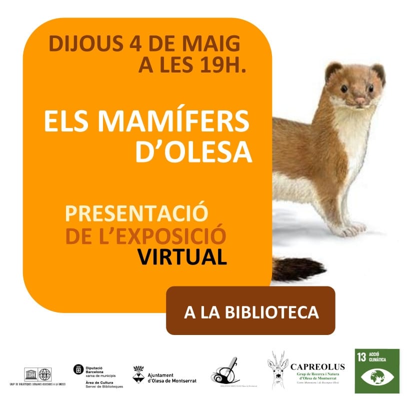 Ens veiem el dijous a les 19h a la <a href="/bibolesa/">Biblioteca d'Olesa de Montserrat - Santa Oliva</a> a la presentació de l'exposició virtual dels mamífers d'Olesa! 🦊