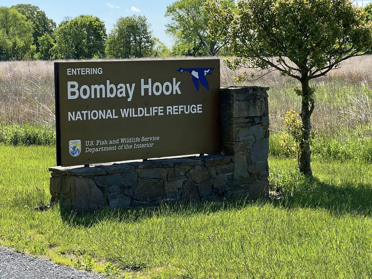 Börger 🇩🇪 tweet media