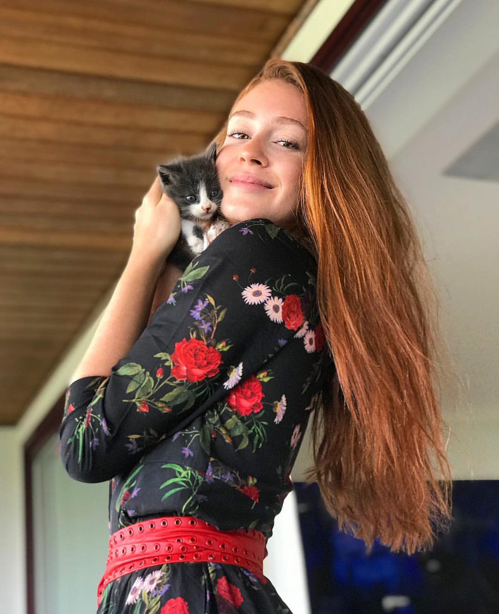 mariruybarbosa's tweet photo. A diferença do Benoir quando resgatei ele e hoje em dia https://t.co/ek1Ktv2WiR