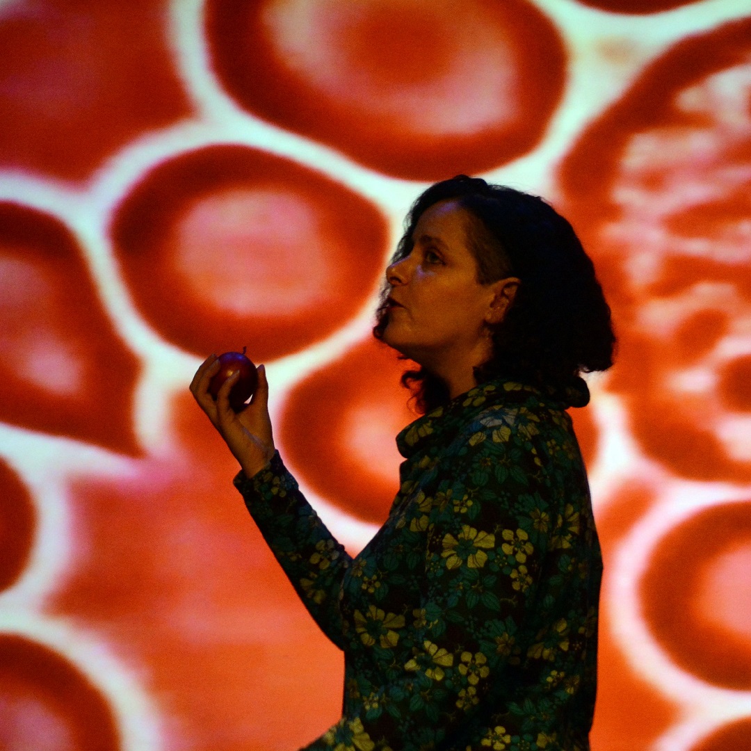 Word of Warning (hÅb) tweet media