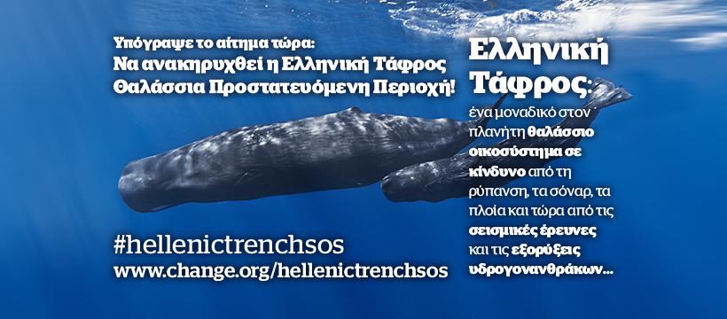 🧵Δελτίο τύπου καμπάνιας για την ανακήρυξη της Ελληνικής Τάφρου ως Προστατευόμενη Περιοχή.

#HellenicTrenchSOS #οξυγόνο #θάλασσα #θαλάσσιαζωή #ΕλληνικήΤάφρος #Ιόνιο #Κρήτη #κητώδη #δελφίνι #φάλαινα #χελώνα #φώκια #NoOil #KeepItInTheGround #SaveGreekSeas

ecoher.gr/2023/04/blog-p…